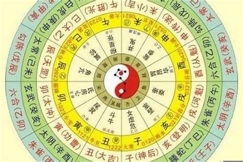 火马命|十二生肖五行属性对照表 生肖五行相生相克查询